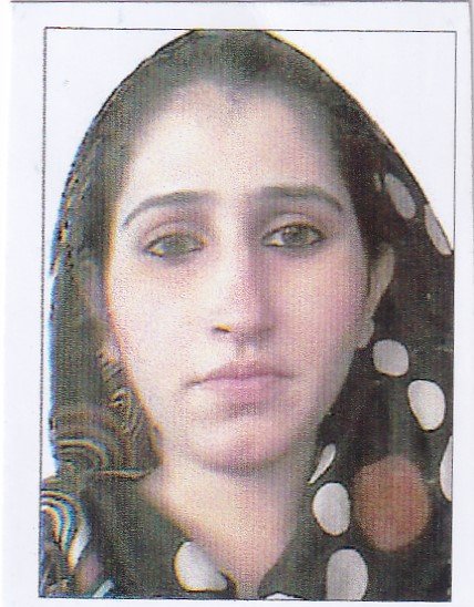 Dr. Zeenat Khatoon